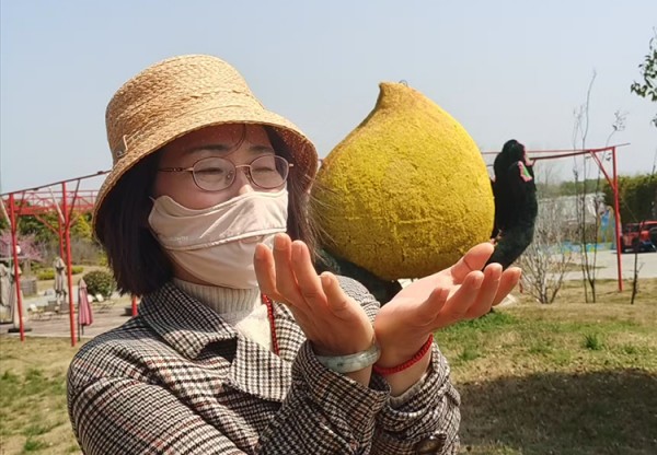 妙笔生万象：画家朱桂芹（津蓉）花鸟·山水·素描艺术世界